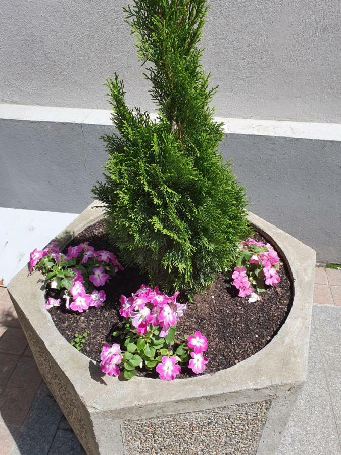 בלגרד Apartment Resavska מראה חיצוני תמונה